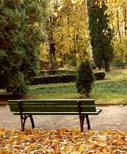 imagen banca en el parque
