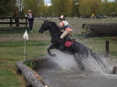 imagen caballo saliendo de agua