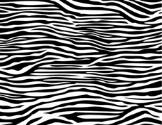 imagen textura zebra